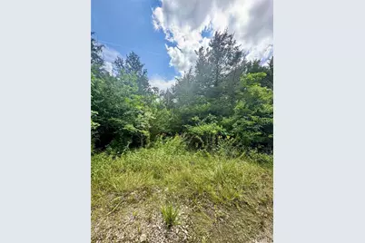 2669 Frederick Road, Festus, MO 63028 - Photo 5