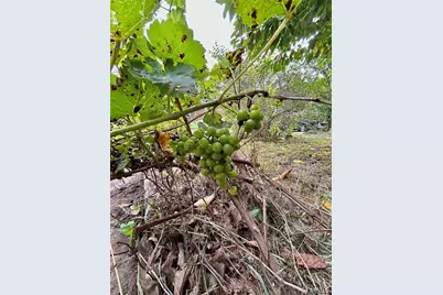 9 Great Oaks Drive, Salem, MO 65560 - Photo 59