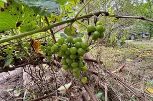 9 Great Oaks Dr, Salem, MO 65560 - Photo 59