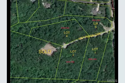 5001 Lily Ridge, Defiance, MO 63341 - Photo 3