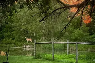 64234 Hwy 6, Greendale, MO 63544 - Photo 29
