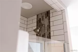 4249 Castleman Ave, Saint Louis, MO 63110 - Photo 7