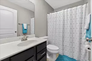24 Hawthorne Ct, O'Fallon, MO 63366 - Photo 27