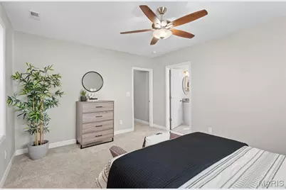 4810 Arsenal Street, Saint Louis, MO 63116 - Photo 21