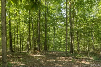 3341 County Road 146A, Annapolis, MO 63620 - Photo 7