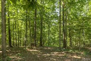 3341 County Road 146A, Annapolis, MO 63620 - Photo 7