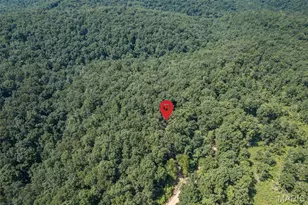 3341 County Road 146A, Annapolis, MO 63620 - Photo 43