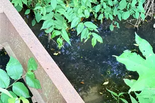 2110 State Hwy OO, Farmington, MO 63640 - Photo 59