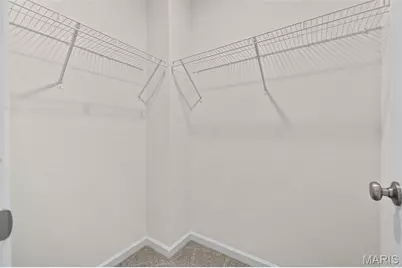 302 White Orchid Court, Wentzville, MO 63385 - Photo 3