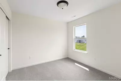 119 Day Lily Lane, Wentzville, MO 63385 - Photo 3