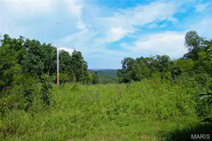 358 Hwy P, Rhineland, MO 65069 - Photo 43