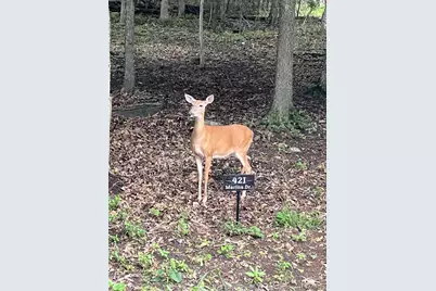 421 Marina Drive, Marthasville, MO 63357 - Photo 3