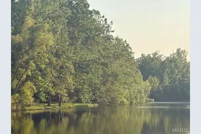 5683 Forest Drive, Hillsboro, MO 63050 - Photo 3