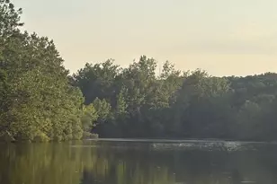 5665 Forest Dr, Hillsboro, MO 63050 - Photo 1