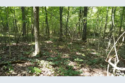 10021 Bugle Rd, Cadet, MO 63630 - Photo 43