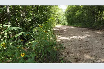 10021 Bugle Rd, Cadet, MO 63630 - Photo 39