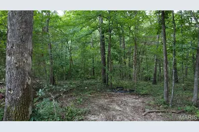 10021 Bugle Rd, Cadet, MO 63630 - Photo 25