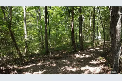 10021 Bugle Rd, Cadet, MO 63630 - Photo 29