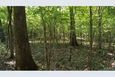 10021 Bugle Rd, Cadet, MO 63630 - Photo 45