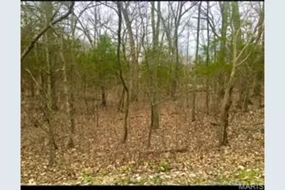 3076 Jackson Drive, Hillsboro, MO 63050 - Photo 1