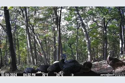 1483 Cedar Ridge Drive, Hermann, MO 65041 - Photo 75