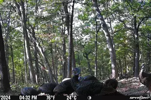 1483 Cedar Ridge Dr, Hermann, MO 65041 - Photo 75