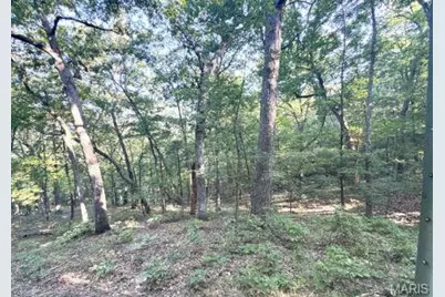 1483 Cedar Ridge Drive, Hermann, MO 65041 - Photo 61