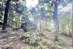 1483 Cedar Ridge Dr, Hermann, MO 65041 - Photo 69