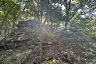 1483 Cedar Ridge Dr, Hermann, MO 65041 - Photo 55