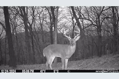 1483 Cedar Ridge Drive, Hermann, MO 65041 - Photo 77