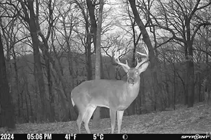 1483 Cedar Ridge Dr, Hermann, MO 65041 - Photo 77