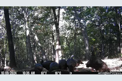 1483 Cedar Ridge Drive, Hermann, MO 65041 - Photo 73