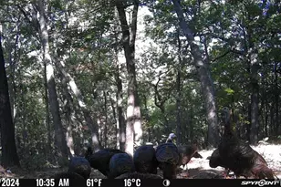 1483 Cedar Ridge Dr, Hermann, MO 65041 - Photo 73