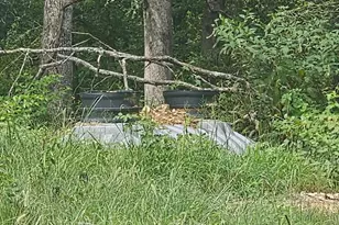 456 Pcr 740, Perryville, MO 63775 - Photo 3