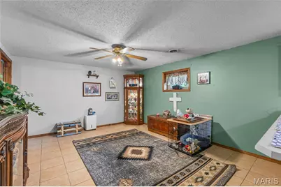 4311 County Road 379, Whitewater, MO 63785 - Photo 29