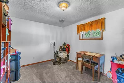 4311 County Road 379, Whitewater, MO 63785 - Photo 17