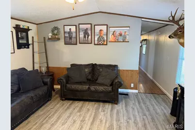 1211 Madison 9236, Fredericktown, MO 63645 - Photo 5