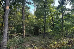 1211 Madison 9236, Fredericktown, MO 63645 - Photo 39