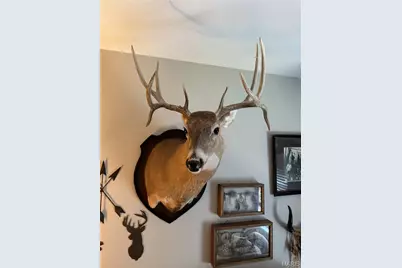 0 Highway A, Monroe City, MO 63456 - Photo 15