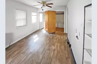 7 Mill Street, Bonne Terre, MO 63628 - Photo 5