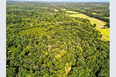 28 Kelemen Farms, Dittmer, MO 63023 - Photo 9