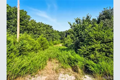 28 Kelemen Farms, Dittmer, MO 63023 - Photo 13