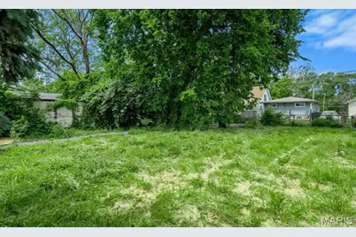 4513 Rosewood Avenue, Saint Louis, MO 63120 - Photo 13