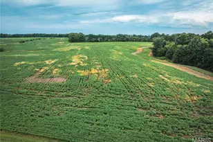 14395 Hwy F, Stanton, MO 63435 - Photo 61