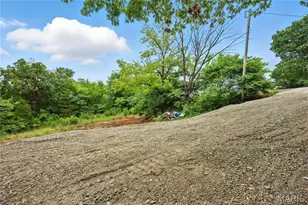 12323 State Route 21, De Soto, MO 63020 - Photo 5