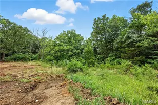 12323 State Route 21, De Soto, MO 63020 - Photo 11