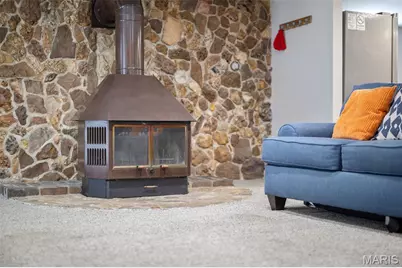 4317 Alma Avenue, Saint Louis, MO 63116 - Photo 47