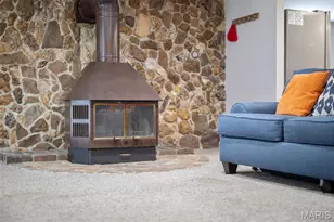 4317 Alma Ave, Saint Louis, MO 63116 - Photo 47