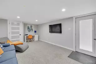 4317 Alma Ave, Saint Louis, MO 63116 - Photo 43