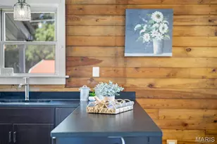 4317 Alma Ave, Saint Louis, MO 63116 - Photo 35